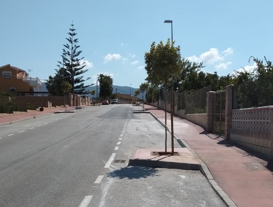 Árboles en el Romeral